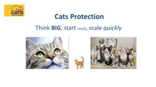 Cats Protection
.
Think BIG, start small, scale quickly
 