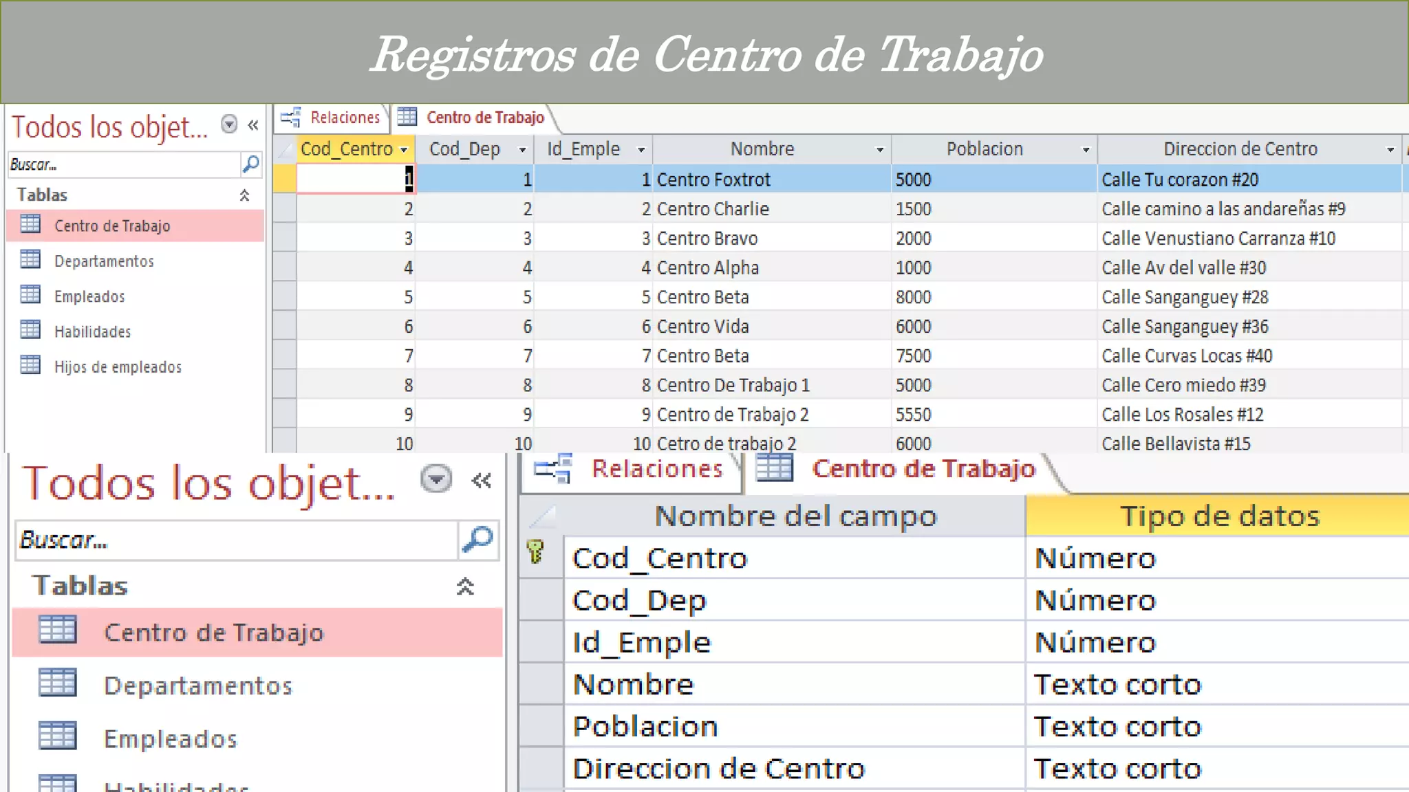 Registros de Centro de Trabajo