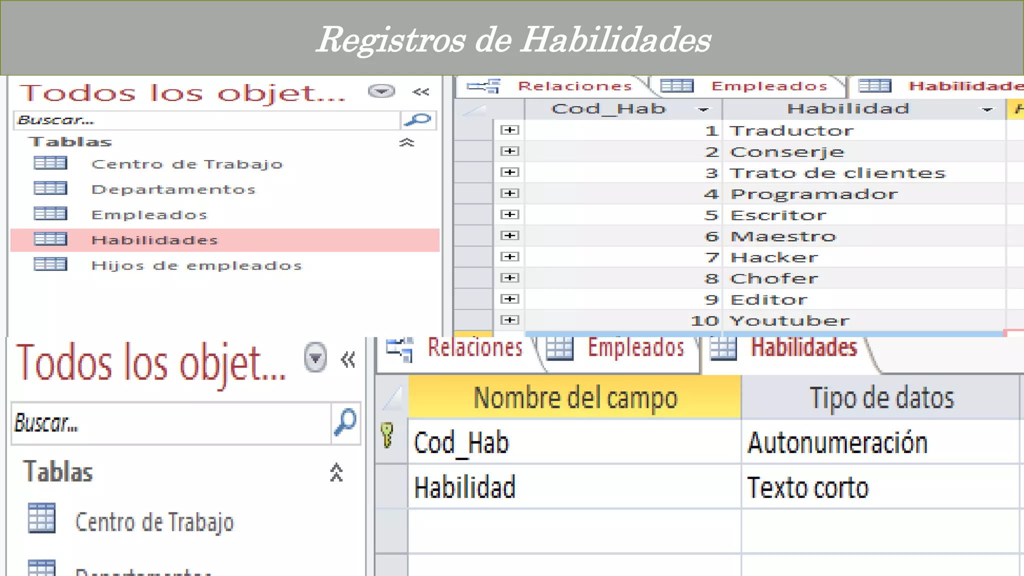 Registros de Habilidades