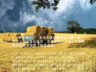 Field of Gold   6 ．我安慰自己，虽然在最底最底的位置，看不到花儿绽放是的艳丽，然而却总不会错过花瓣飘落时在风中悠扬飞舞的浪漫。   6.I comfort myself like this: although I am in the lowest place, seeing nowflowers blossoming, I can always witness the romance when the petals fall downand fly in the wind.   