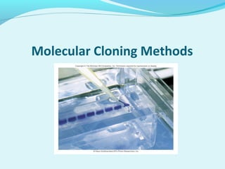 Molecular Cloning Methods
 