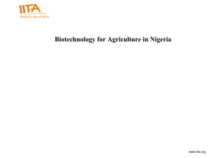 www.iita.org
Biotechnology for Agriculture in Nigeria
 
