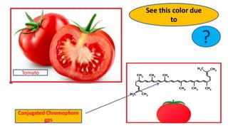 ?
See this color due
to
Tomato
Conjugated Chromophore
gps
 