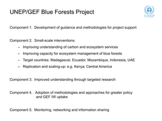 UNEP/GEF Blue Forests Project 
Component 1. Development of guidance and methodologies for project support 
Component 2. Small-scale interventions: 
– Improving understanding of carbon and ecosystem services 
– Improving capacity for ecosystem management of blue forests 
– Target countries: Madagascar, Ecuador, Mozambique, Indonesia, UAE 
– Replication and scaling-up: e.g. Kenya; Central America 
Component 3. Improved understanding through targeted research 
Component 4. Adoption of methodologies and approaches for greater policy 
and GEF IW uptake 
Component 5. Monitoring, networking and information sharing 
 