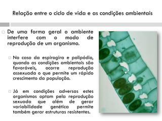 Relação entre o ciclo de vida e as condições ambientais
 De uma forma geral o ambiente
interfere com o modo de
reprodução de um organismo.
 No caso da espirogira e polipódio,
quando as condições ambientais são
favoráveis, ocorre reprodução
assexuada o que permite um rápido
crescimento da população.
 Já em condições adversas estes
organismos optam pela reprodução
sexuada que além de gerar
variabilidade genética permite
também gerar estruturas resistentes.
 