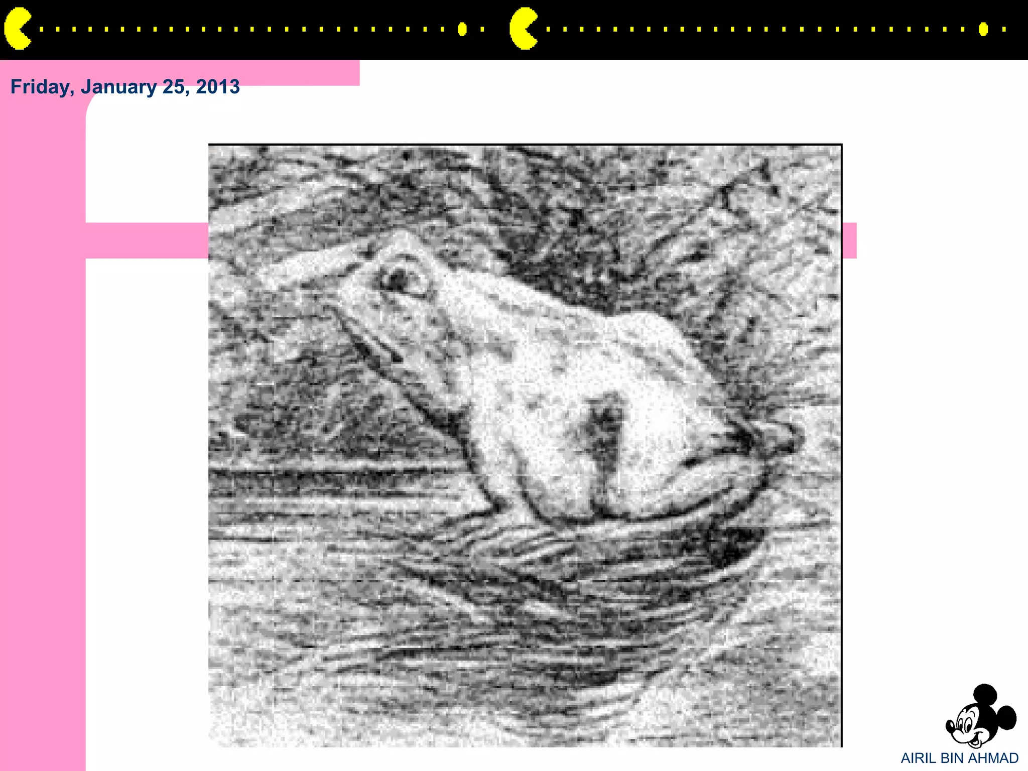 Friday, January 25, 2013




                           AIRIL BIN AHMAD
 