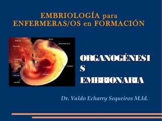 EMBRIOLOGÍA para
ENFERMERAS/OS en FORMACIÓN



                ORGANOGÉNESI
                S
                EMBRIONARIA
         Dr. Valdo Echarry Sequeiros M.Id.
 