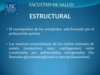FACULTAD DE SALUD

              ESTRUCTURAL
 El exoesqueleto de los artrópodos está formado por el
 polisacárido quitina.

 Las matrices extracelulares de los tejidos animales de
 sostén (conjuntivo, óseo, cartilaginoso) están
 constituídas por polisacáridos nitrogenados (los
 llamados glicosaminoglicanos o mucopolisacáridos).
 