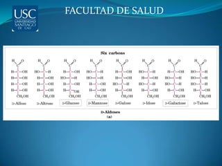 FACULTAD DE SALUD
 