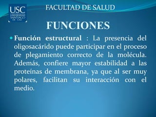 FACULTAD DE SALUD

           FUNCIONES
 Función estructural : La presencia del
 oligosacárido puede participar en el proceso
 de plegamiento correcto de la molécula.
 Además, confiere mayor estabilidad a las
 proteínas de membrana, ya que al ser muy
 polares, facilitan su interacción con el
 medio.
 