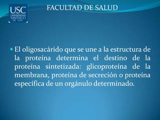 FACULTAD DE SALUD




 El oligosacárido que se une a la estructura de
 la proteína determina el destino de la
 proteína sintetizada: glicoproteína de la
 membrana, proteína de secreción o proteína
 específica de un orgánulo determinado.
 