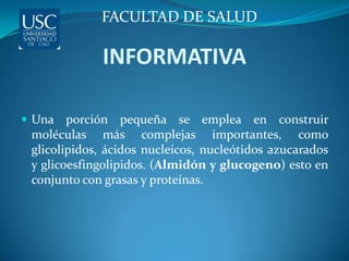 FACULTAD DE SALUD

             INFORMATIVA

 Una porción     pequeña se emplea en construir
 moléculas más complejas importantes, como
 glicolipidos, ácidos nucleicos, nucleótidos azucarados
 y glicoesfingolipidos. (Almidón y glucogeno) esto en
 conjunto con grasas y proteínas.
 