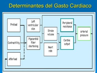 Determinantes del Gasto Cardiaco 