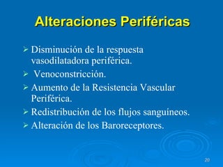 Alteraciones Periféricas Disminución de la respuesta vasodilatadora periférica. Venoconstricción. Aumento de la Resistencia Vascular Periférica. Redistribución de los flujos sanguíneos. Alteración de los Baroreceptores. 