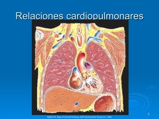 Relaciones cardiopulmonares Netter FH: Atlas of Clinical Anatomy, DxR Development Group Inc, 1999. 