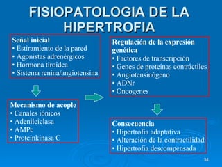 FISIOPATOLOGIA DE LA HIPERTROFIA Señal inicial Estiramiento de la pared Agonistas adrenérgicos Hormona tiroidea Sistema renina/angiotensina Regulación de la expresión  genética Factores de transcripción Genes de proteínas contráctiles Angiotensinógeno ADNr Oncogenes Mecanismo de acople Canales iónicos Adenilciclasa AMPc Proteínkinasa C Consecuencia Hipertrofia adaptativa Alteración de la contractilidad Hipertrofia descompensada 