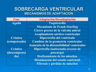 SOBRECARGA VENTRICULAR MECANISMOS DE ADAPTACION 