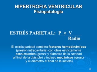 HIPERTROFIA VENTRICULAR Fisiopatología ESTRÉS PARIETAL:  P     V Radio El estrés parietal combina  factores hemodinámicos   (presión intracavitaria) con otros estrictamente  estructurales  (grosor y diámetro de la cavidad  al final de la diástole) e incluso  mecánicos  (grosor  y el diámetro al final de la sístole) 