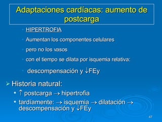 Adaptaciones cardíacas: aumento de postcarga HIPERTROFIA Aumentan los componentes celulares  pero no los vasos  con el tiempo se dilata por isquemia relativa: descompensación y   FEy Historia natural:    postcarga    hipertrofia  tardíamente:    isquemia    dilatación    descompensación y   FEy  