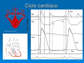 Ciclo cardíaco Rush Children's Hospital .  Chicago http://web.ukonline.co.uk/ 