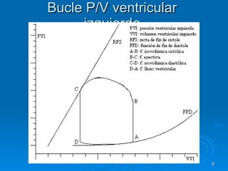 Bucle P/V ventricular izquierdo 