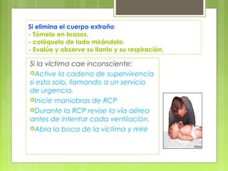 Si elimina el cuerpo extraño:
- Tómelo en brazos.
- colóquelo de lado mirándolo.
- Evalúe y observe su llanto y su respiración.

Si la víctima cae inconsciente:
Active la cadena de supervivencia
si esta solo, llamando a un servicio
de urgencia.
Inicie maniobras de RCP
Durante la RCP revise la vía aérea
antes de intentar cada ventilación.
Abra la boca de la víctima y mire
 