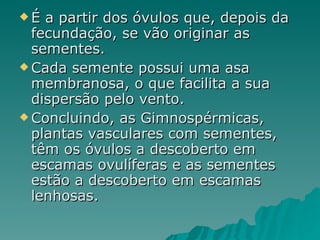 É a partir dos óvulos que, depois da fecundação, se vão originar as sementes. Cada semente possui uma asa membranosa, o que facilita a sua dispersão pelo vento. Concluindo, as Gimnospérmicas, plantas vasculares com sementes, têm os óvulos a descoberto em escamas ovulíferas e as sementes estão a descoberto em escamas lenhosas.  