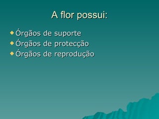 A flor possui: Órgãos de suporte Órgãos de protecção Órgãos de reprodução 