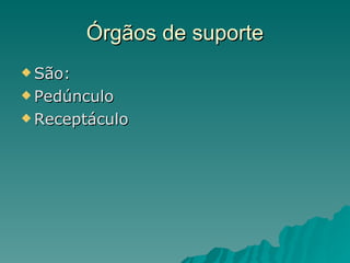 Órgãos de suporte São: Pedúnculo Receptáculo 