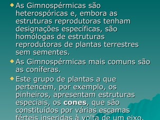 As Gimnospérmicas são heterospóricas e, embora as estruturas reprodutoras tenham designações específicas, são homólogas de estruturas reprodutoras de plantas terrestres sem sementes. As Gimnospérmicas mais comuns são as coníferas. Este grupo de plantas a que pertencem, por exemplo, os pinheiros, apresentam estruturas especiais, os  cones , que são constituídos por várias escamas férteis inseridas à volta de um eixo. 