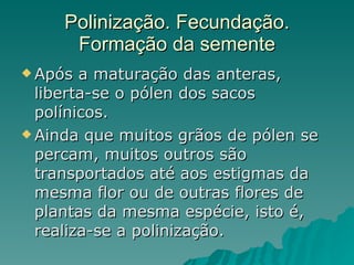 Polinização. Fecundação. Formação da semente Após a maturação das anteras, liberta-se o pólen dos sacos polínicos.  Ainda que muitos grãos de pólen se percam, muitos outros são transportados até aos estigmas da mesma flor ou de outras flores de plantas da mesma espécie, isto é, realiza-se a polinização. 