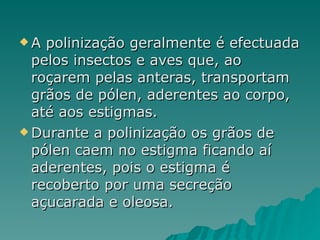 A polinização geralmente é efectuada pelos insectos e aves que, ao roçarem pelas anteras, transportam grãos de pólen, aderentes ao corpo, até aos estigmas. Durante a polinização os grãos de pólen caem no estigma ficando aí aderentes, pois o estigma é recoberto por uma secreção açucarada e oleosa. 