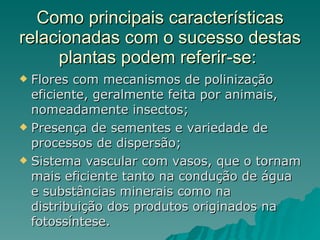 Como principais características relacionadas com o sucesso destas plantas podem referir-se:  Flores com mecanismos de polinização eficiente, geralmente feita por animais, nomeadamente insectos; Presença de sementes e variedade de processos de dispersão; Sistema vascular com vasos, que o tornam mais eficiente tanto na condução de água e substâncias minerais como na distribuição dos produtos originados na fotossíntese.  