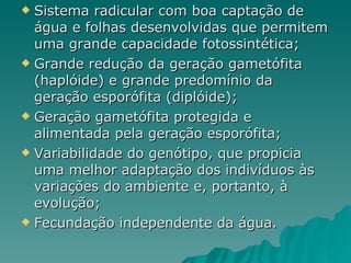 Sistema radicular com boa captação de água e folhas desenvolvidas que permitem uma grande capacidade fotossintética; Grande redução da geração gametófita (haplóide) e grande predomínio da geração esporófita (diplóide); Geração gametófita protegida e alimentada pela geração esporófita; Variabilidade do genótipo, que propicia uma melhor adaptação dos indivíduos às variações do ambiente e, portanto, à evolução; Fecundação independente da água.  