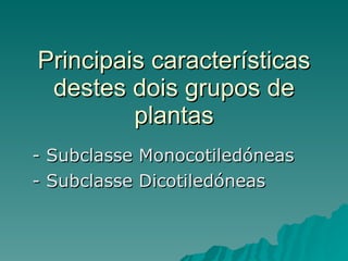 Principais características destes dois grupos de plantas - Subclasse Monocotiledóneas - Subclasse Dicotiledóneas 