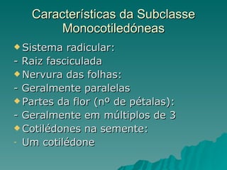 Características da Subclasse Monocotiledóneas Sistema radicular: - Raiz fasciculada Nervura das folhas: - Geralmente paralelas Partes da flor (nº de pétalas): - Geralmente em múltiplos de 3 Cotilédones na semente: Um cotilédone 