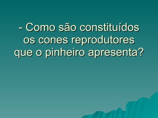 - Como são constituídos os cones reprodutores que o pinheiro apresenta? 