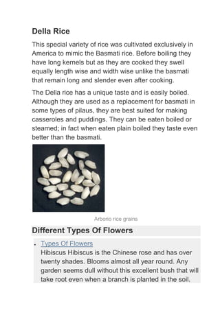 Della Rice
This special variety of rice was cultivated exclusively in
America to mimic the Basmati rice. Before boiling they
have long kernels but as they are cooked they swell
equally length wise and width wise unlike the basmati
that remain long and slender even after cooking.
The Della rice has a unique taste and is easily boiled.
Although they are used as a replacement for basmati in
some types of pilaus, they are best suited for making
casseroles and puddings. They can be eaten boiled or
steamed; in fact when eaten plain boiled they taste even
better than the basmati.




                      Arborio rice grains

Different Types Of Flowers
   Types Of Flowers
   Hibiscus Hibiscus is the Chinese rose and has over
   twenty shades. Blooms almost all year round. Any
   garden seems dull without this excellent bush that will
   take root even when a branch is planted in the soil.
 