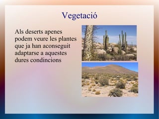 Vegetació
Als deserts apenes
podem veure les plantes
que ja han aconseguit
adaptarse a aquestes
dures condincions
 