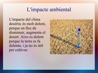L'impacte ambiental
L'impacte del clima
desèrtic és molt dolent,
perque en lloc de
disminuir, augmenta el
desert. Aixo es dolent
perque la terra es fa
dolenta, i ja no és útil
per cultivar.
 