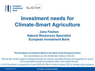 Investment needs for
Climate-Smart Agriculture
Jane Feehan
Natural Resources Specialist
European Investment Bank

The European Investment Bank is the bank of the European Union.
Our shareholders are the 28 Member States of the EU.
We are the world’s largest multilateral lender by volume, providing finance and expertise for sound
and sustainable investment projects within and outside the EU.
In 2013 the Bank is expected to invest EUR 65-70bn of which at least 25% in climate action projects.
16 November 2013

European Investment Bank

1

 