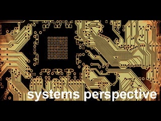 systems perspective 