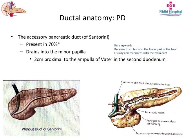 Resectional Anatomy of Pancreas