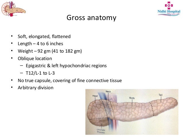 Resectional Anatomy of Pancreas