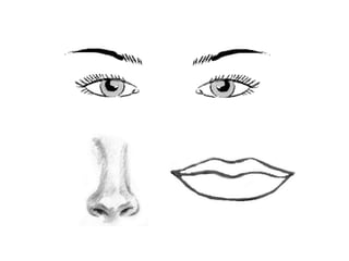 Cómo dibujar un rostro proporciones del rostro