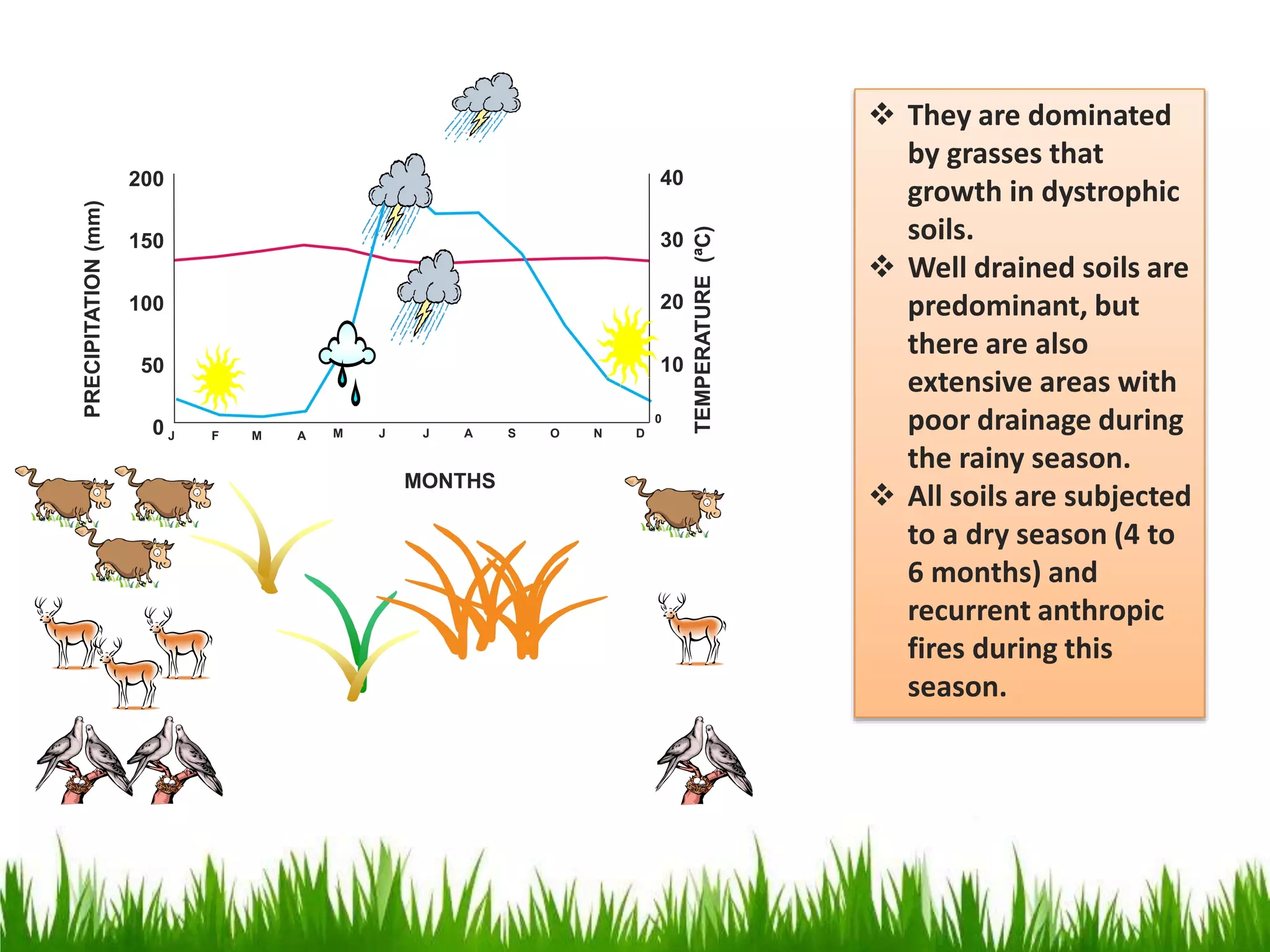 Carbon Sequestration Potential in the Savannas Ecosystems of Venezuela ...