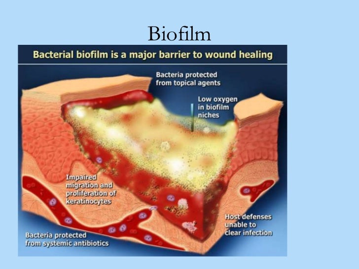 3er Curso Latino Americano de Cicatrización Avanzada en Heridas (I)