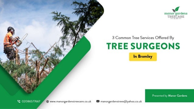 3 Common Tree Services Offered By Tree Surgeons In Bromley.pptx