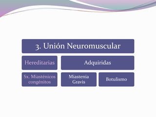 3. Unión Neuromuscular
Hereditarias
Sx. Miasténicos
congénitos
Adquiridas
Miastenia
Gravis
Botulismo
 