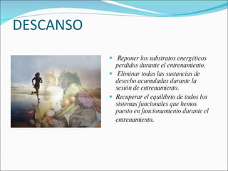 DESCANSO Reponer los substratos energéticos perdidos durante el entrenamiento. Eliminar todas las sustancias de desecho acumuladas durante la sesión de entrenamiento. Recuperar el equilibrio de todos los sistemas funcionales que hemos puesto en funcionamiento durante el entrenamiento . 
